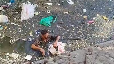 نفوق أعداد كبيرة من الأسماك في مياه السنطة بالغربية، ولجنة لفحص الواقعة (بث مباشر)