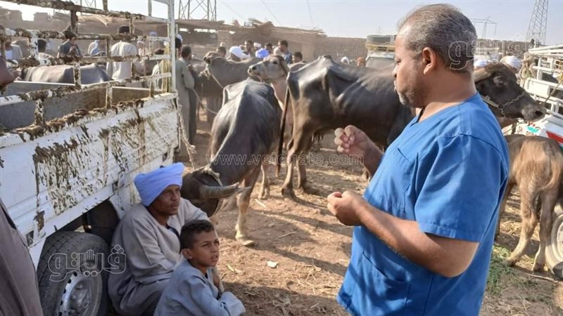 أثناء الفحص 