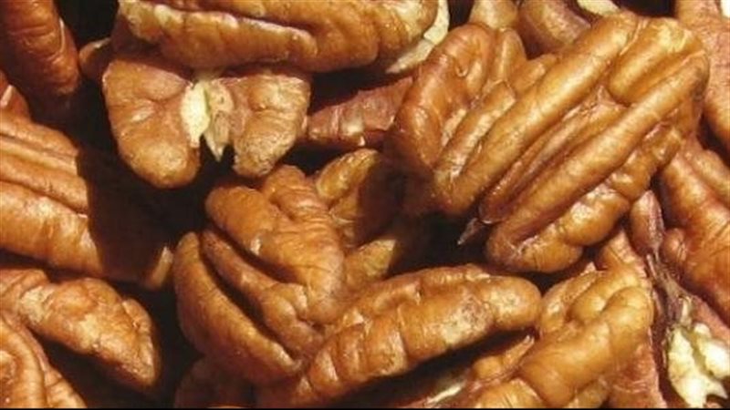فوائد عين الجمل 