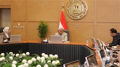 الكهرباء: مخطط زمني للأحمال المطلوبة لتنفيذ المشروعات الجديدة بالمحافظات