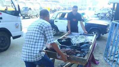 استجابة للمواطنين.. رفع الإشغالات بشوارع وميادين طنطا