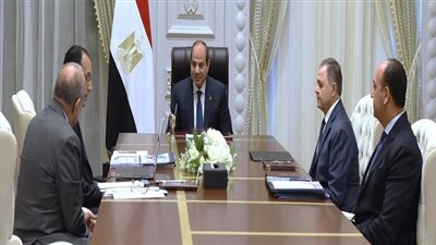 تكليفات رئاسية حاسمة للحكومة لمواجهة سرقة التيار وإضافة قدرات جديدة للشبكة الكهربائية