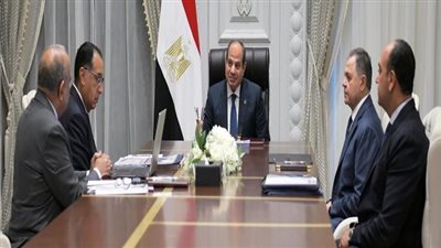 السيسي يتابع إجراءات تقليل الهدر والسرقات في الكهرباء.. ويوجه بتكثيف العمل بالمشروعات الجاري تنفيذها في الطاقة المتجددة بهدف إضافة قدرات جديدة للشبكة الكهربائية