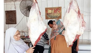 وكيل تموين الدقهلية يترأس حملة على المخابز والأسواق ويحرر 422 مخالفة 