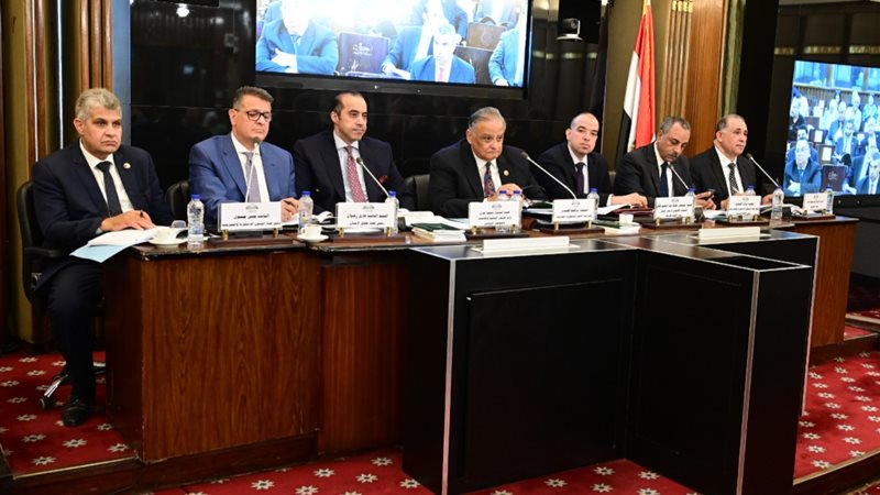 اجتماعات لجنة مناقشة