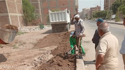 رئيس مدينة الأقصر: زراعة 500 شتلة لتشجير الشوارع (صور)