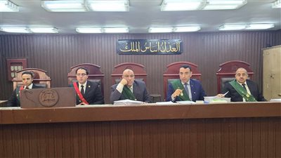 قضية الدارك ويب، مفاجأة في التقرير الطبي.. ووكيل النائب العام: المتهم اختار مصر لفقر أهلها (فيديو وصور)