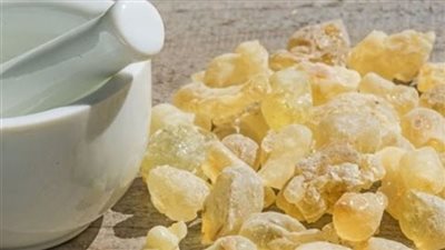 فوائد اللبان الدكر، هام صحة المعدة وجمال البشرة وتقوية المناعة