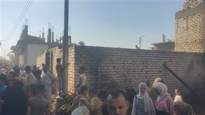 نفوق 6 رؤوس ماشية، السيطرة على حريق اندلع في حظيرة ببني سويف (صور)