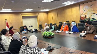 التضامن الاجتماعي والمركز الديموجرافي يبحثان الموقف التنفيذي لمشروع تنمية الأسرة