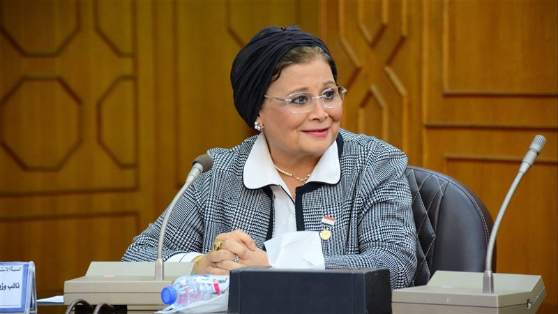 عبلة الألفي، فيتو