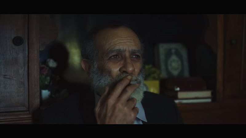 كامل الباشا، فيتو