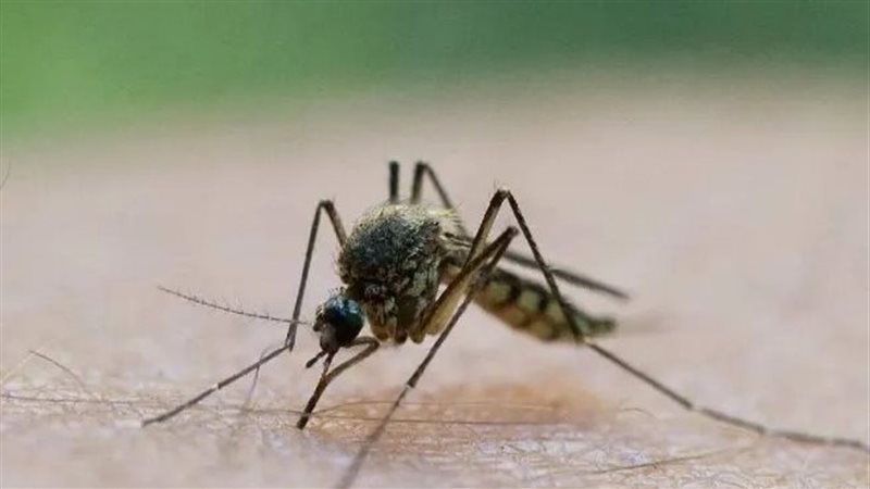 طائرة هليكوبتر تلقي