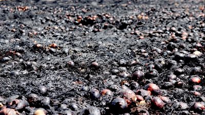 السيطرة على حريق في جرن بصل بالدقهلية 