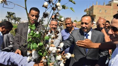 وسط فرحة المزارعين، محافظ أسيوط يفتتح موسم جني القطن (فيديو)