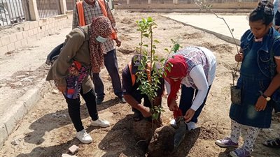 جهاز التجميل بالإسماعيلية يواصل زراعة الأشجار المثمرة (صور)