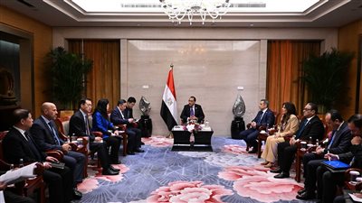 مدبولي يلتقي رئيس 