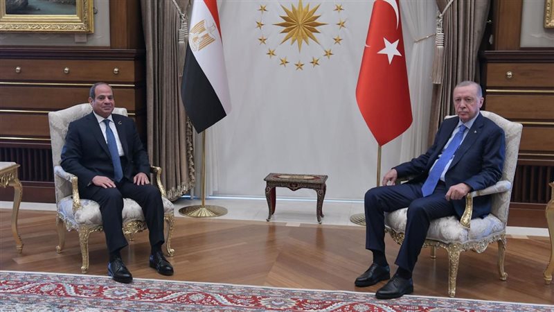 الرئيس السيسي ورئيس