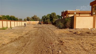 تخصيص نصف فدان لإقامة سوق أسبوعي للأهالى فى المدامود بالأقصر(صور)