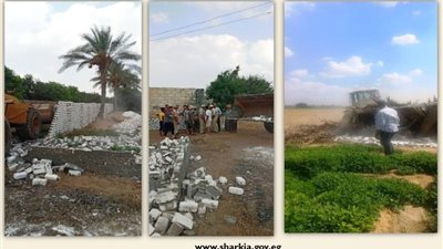 إزالة 23 حالة تعدى على الأراضي الزراعية بالشرقية 