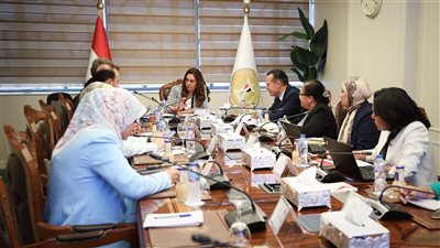 وزيرة التنمية المحلية تستقبل الممثل المقيم لبرنامج الأمم المتحدة الإنمائي في مصر 