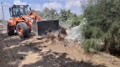 إزالة 9 حالات تعدٍّ على الأراضي الزراعية بالإسماعيلية (صور)