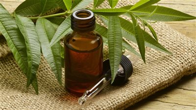  فوائد وأضرار زيت شجرة الشاي للبشرة