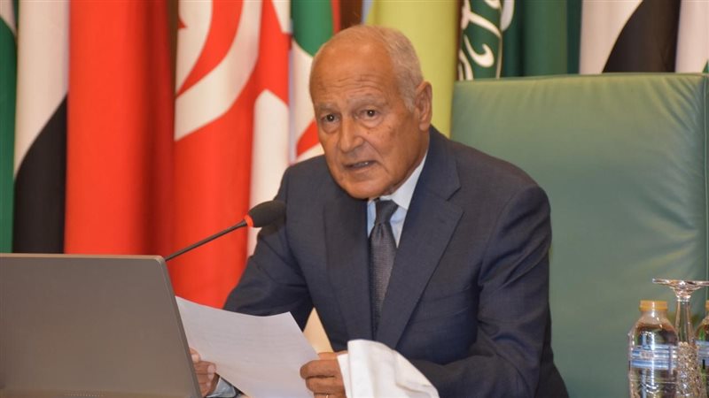 أحمد أبو الغيط، فيتو
