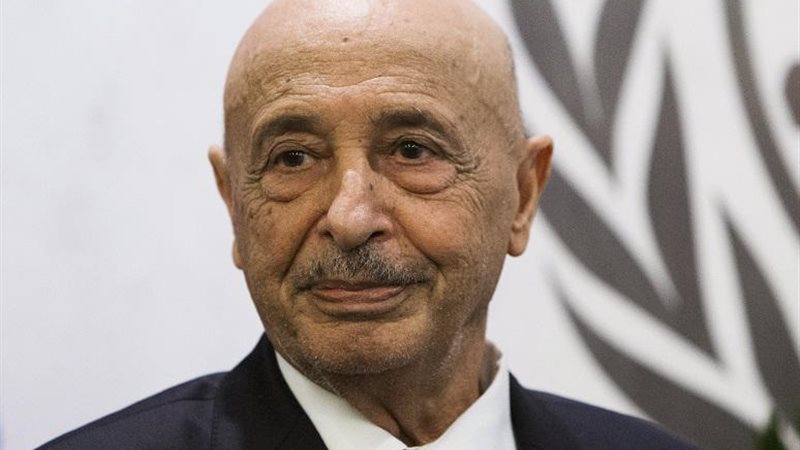 عقيلة صالح، فيتو