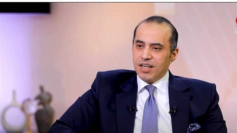 المستشار محمود فوزي
