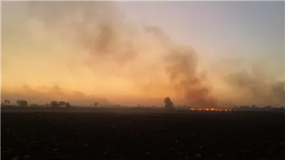 سحابة سوداء تغطي سماء بني عبيد بالدقهلية بسبب حرق قش الأرز ومخلفات الذرة (صور)