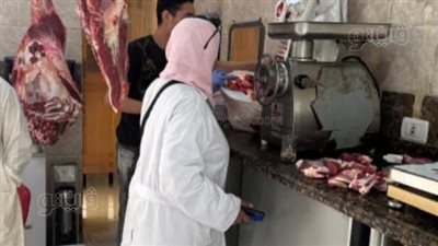 ضبط 8 أطنان لحوم ودواجن فاسدة في الغربية (صور)