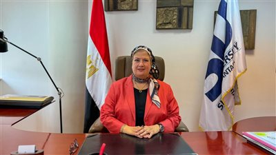 رئيس جامعة سيناء: قدمنا 60 ألف منحة دراسية بإجمالي 858 مليون جنيه