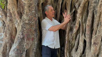 وقف يتغزل كالعشاق، ماذا قال كولر عن الأهلي أمام أقدم شجرة بجوار برج القاهرة (صور)