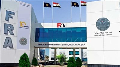 الرقابة المالية تطور ضوابط ترخيص الشركات العاملة في الأنشطة المالية غير المصرفية 