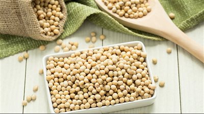  فوائد فول الصويا، وقود للجسم ودرع واقٍ من الأمراض المزمنة