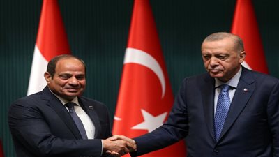أردوغان: المرحلة الجديدة بالعلاقة مع مصر ستكون لصالح غزة