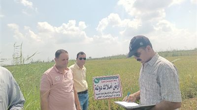 إزالة 15 حالة تعدٍ على الأرض الزراعية وأملاك الدولة بالشرقية 