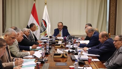 وزير قطاع الأعمال يتابع خطط عمل شركات 