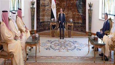 نشاط الرئيس السيسي اليوم (فيديو)