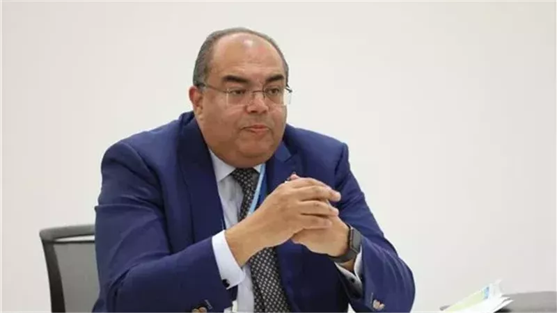 محمود محيي الدين،