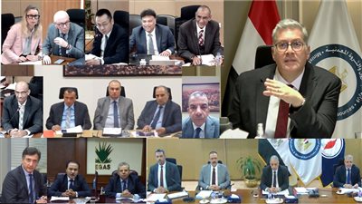 وزير البترول يؤكد أهمية زيادة أنشطة الحفر خلال الفترة المقبلة في الصحراء الغربية 