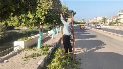 حملات لرفع تراكمات القمامة ودهان البلدورات والأرصفة بشوارع الشرقية