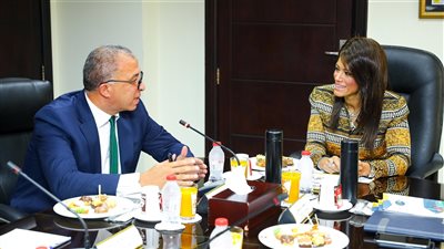 المشاط: ضرورة الاستفادة من إمكانيات معهد التخطيط القومي لتعزيز فعالية خطط التنمية 