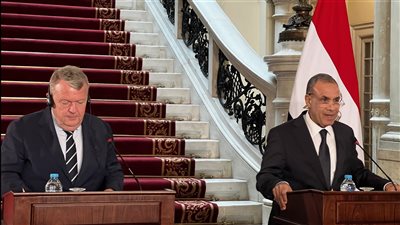 وزير الخارجية عن الأسلحة في فلسطين: ليست من مصر ونعلم مصدر تهريبها 