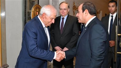 تفاصيل لقاء السيسي والممثل الأعلى للاتحاد الأوروبي (صور)
