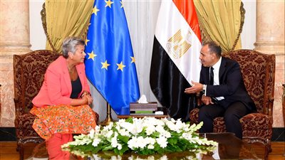وزير الخارجية يستقبل المفوضة الأوروبية للشئون الداخلية والهجرة (صور)