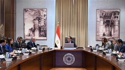 الحكومة تناقش وضع حلول مستدامة لمشكلات ترعة الإسماعيلية وفروعها