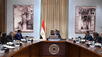 رئيس الوزراء يتابع إجراءات تفعيل وكالة ضمان الصادرات والاستثمار في أفريقيا