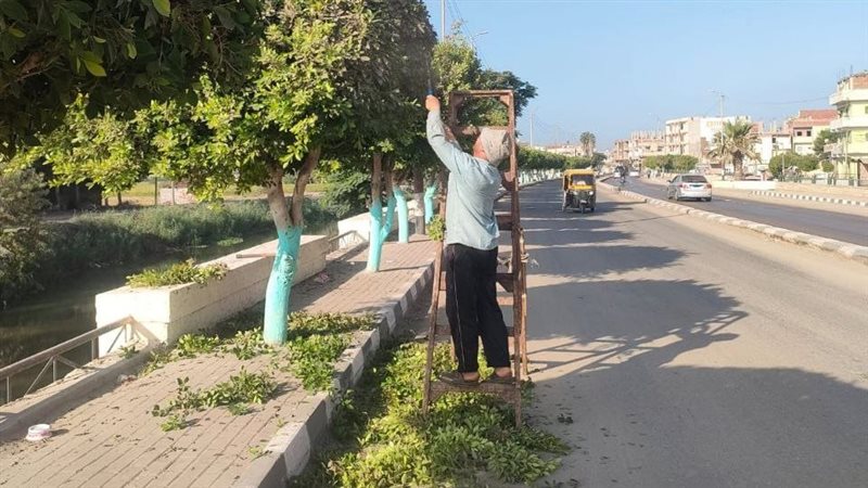 محافظة الشرقية تتجمل